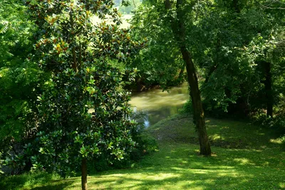 DSC_2747 (Large).JPG